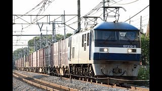 JR貨物 貨物列車 3096レ EF210-2