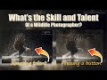 What is the SKILL and TALENT of a Wildlife Photographer