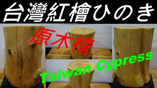 【A002】台湾檜ヒノキ【 台灣紅檜木】台灣ひのき Taiwan Cypress  原木椅/柱 Hinoki 【#木頭爸   Wood dad 】