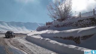 The Cedars of Lebanon  |  أرز لبنان