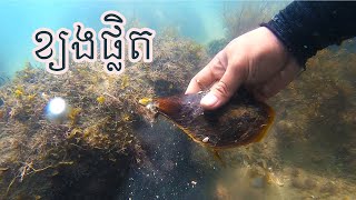 រកខ្យងផ្លិត-ពយម៉ាចូវ | Catch \u0026 Cook - Ep 51