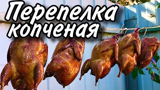 Копченые перепела, сделать просто