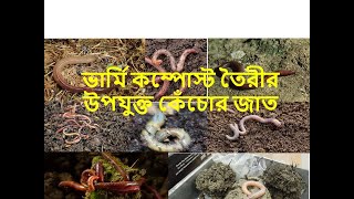 #সার তৈরীর জন্য কেঁচো নির্বাচন,#Effective Earthworm Variety