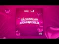 TÁ SABALAR COM❤️DELA - BRAZUCAS feat ALFREDO PICANTE ( Áudio oficial)