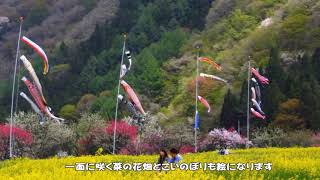 日本一の花桃の里 月川温泉郷