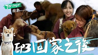 EP3 完整版SUB｜真的要一起回家！羅志祥帶大家去秘密基地 展示對浪浪的愛！帶海膽回家 任容萱進門都有困難！｜TOP DOG回家