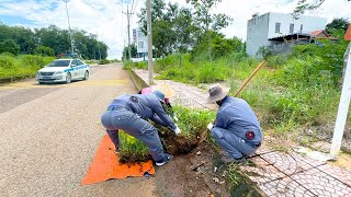 The process of clearing nearly 1km of sidewalk covered with weeds surprised local residents.