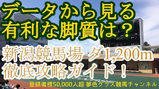 新潟競馬場ダート1,200m攻略コースガイド！有利な脚質の馬とは？