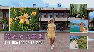 優美的太麻里 (金針山、山豬窟私房景點大公開) - The Beauty of Taimali