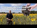 Soil health and improving the whole farm ecosystem with arable farmer Martin Lines in Cambridge