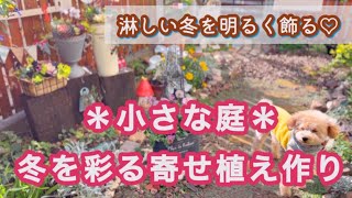 【花束みたいな寄せ植え3種】段ボールで防寒対策/パターン別寄せ植えの作り方/新しい多肉棚/12月中旬の庭/手編みでメリークリスマス