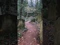 The Highgate Cemetery Vampire in London, UK