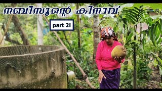 നബീസൂന്റെ കിനാവ് (part 21) നബീസു ഈ വർഷത്തെ അവസാന ചക്കയിട്ടു.😅😅