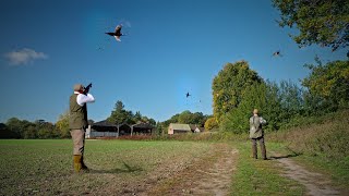 ROUGH PHEASANT SHOOTING ON AN ESTATE | Walked-Up Pheasants | Nick Ridley & Lance Barton | Preview