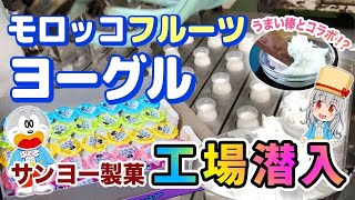 【工場見学】モロッコフルーツヨーグルってどうやって作るの？【サンヨー製菓】