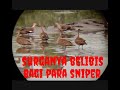 Berburu Belibis Batu#part4# Surganya Belibis Bagi Para Sniper#JONTROT AMPUH