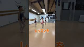 レッスンを見守る犬🐶 #ballet #寺島ゆかりバレエクラス