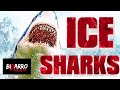 Ice Sharks | ACTION | HD | Full English Movie