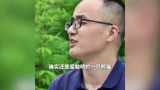 原来徐奶爸照顾福宝是被领导忽悠过去的