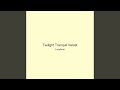 Twilight Tranquil Velvet