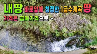 강원도 횡성부동산 급매물 횡성계곡땅매매 [강원도 횡성군 청일면부동산] #횡성토지매매