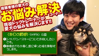 【愛犬のお悩み解決コーナー】シベリアンハスキーについてお伺いしたいです。朝鳴きがもの凄く、家に帰った後も無駄吠えします。