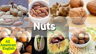 Nuts in English | Learn English Words for Nuts | English Vocabulary | All American English