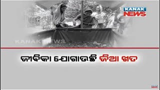 Bazaar Halchaal: Worm Organic Fertilizer Helping Women To Earn In Lakhs In Keonjhar