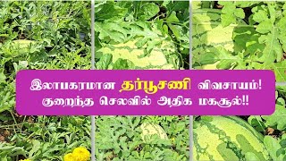 இலாபகரமான தர்பூசணி விவசாயம் | Profitable Watermelon Agriculture | குறைந்த செலவில் அதிக மகசூல்