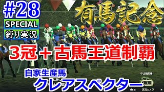 【ウイポ9 2022】#28 お前がナンバーワンだ！縛り実況！お守り使用禁止！引き継ぎなし！難易度SPECIAL！1991年11月1週～【ウイニングポスト9 2022  Switch版】