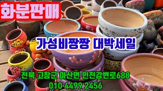 화분판매 대박할인특가 010 4499 2456 5만이상무료배송 3만이상다육친환경영양제써비스 주문은 문자로주세요