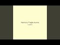 Harmony Fragile Aurora