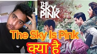 The Sky Is Pink movie review by desi review