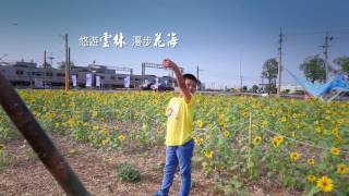 2017～雲林看燈、賞花、迎新年。