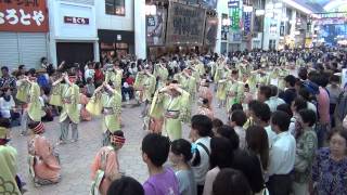 ほにや　高知よさこい祭り　全国大会2014　帯屋町会場