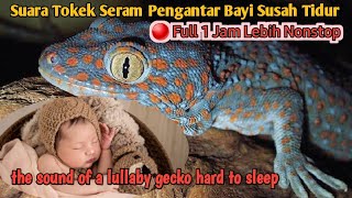Suara Tokek  Seram Pengantar Bayi Susah Tidur Full 1 jam , the sound of a big Spooky Gecko in Bed #3