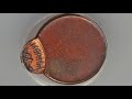 how much are 1983 pennies worth valuable mint error coins to look for