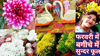 ऐसे खिलाएं अपने बगीचे में सुंदर सुंदर फूल | how bloom flower in garden .spring season flowering plan