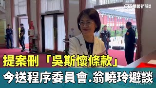 提案刪「吳斯懷條款」今送程序委員會　翁曉玲避談｜華視新聞 20241203 @CtsTw