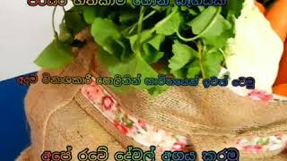 පරිසර හිතකාමී ගෝනි බෑග් - eco-friendly bags