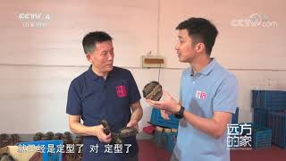 [远方的家]大运河（25） 无锡二胡制作在梅村| CCTV中文国际