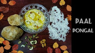 Authentic Pongal | Pongal special | Paal pongal | நாவூறும் பால் பொங்கல் தமிழில்