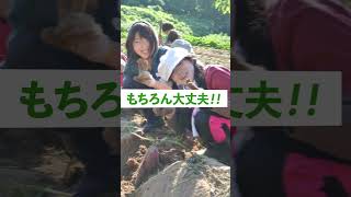 いしかわの里山里海を守るボランティア募集