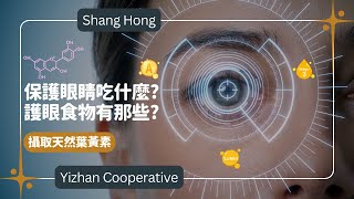 保護眼睛吃什麼?｜懶人護眼必看｜眼睛需要那些營養?｜保護視力｜鞏固眼睛