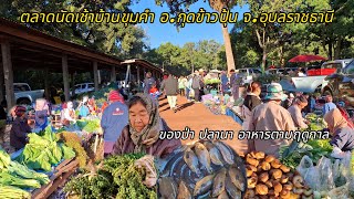 ตลาดนัดเช้าบ้านขุมคำ อ.กุดข้าวปุ้น จ.อุบลราชธานี ของป่า ปลานา กบนา #ของป่า #กบนา #อาหารตามฤดูกาล