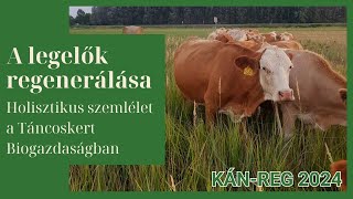 Legelők regenerálása a Táncoskert Biogazdaságban | A holisztikus szemlélet alkalmazása, jelentősége