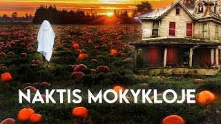 Naktis mokykloje (halloween edition)