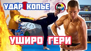 Уширо гери, секрет, как сделать удар ногой с разворота Uhiro geri karate