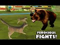 Wildlife Simulator: Bear Android / iOS Gameplay [HD]