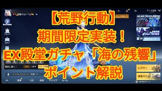 【荒野行動】期間限定実装、EX殿堂ガチャ「海の残響」！スペシャル機能が付きアイテム多数、ポイント解説してみた